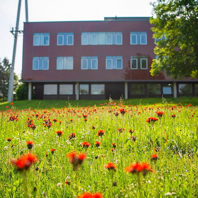 Institute of Subsurface Energy Systems